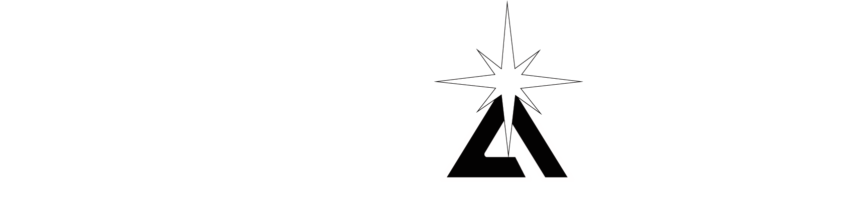 Pinnacle Systems Inc.